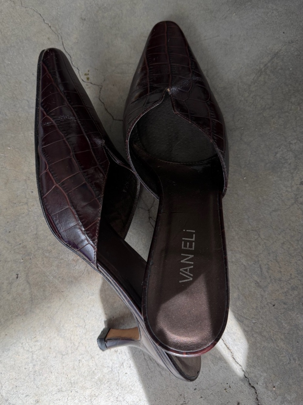 Vaneli Women's Dark Brown Croc-Embossed Pointed Mule Heels